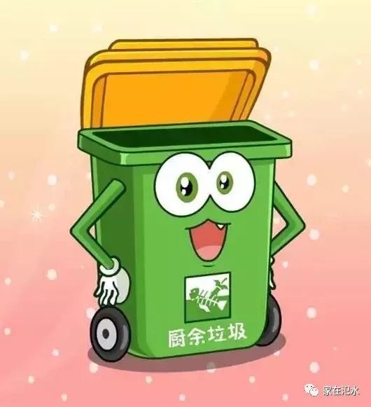 餐饮服务行业垃圾分类 环保责任与操作指南