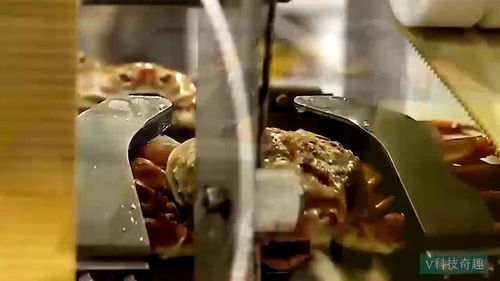 实拍食品工厂 揭秘水果捞的机械化加工全过程，令人大开眼界